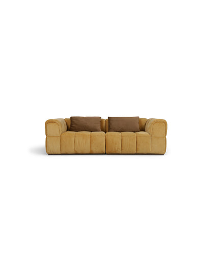 turin-sectional