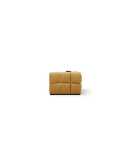 turin-sectional