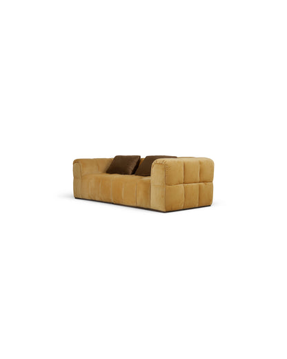 turin-sectional