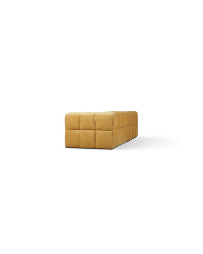 turin-sectional