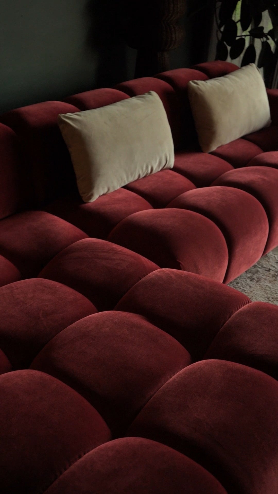 bari-sectional